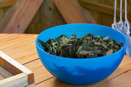 制作由莎莉开花的茶叶过程 被称为俄罗斯伊凡茶或可口茶 叶发酵植物桌子治疗收获材料沙枣花草生产草本植物药品图片