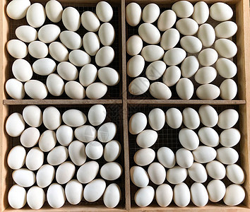白鸭蛋在木板上鸭蛋蛋壳纸盒托盘营养包装早餐鸡蛋鸭子食物图片
