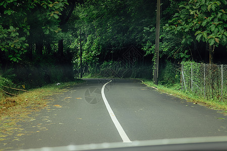 通往森林的空无道路运动太阳城市天空驾驶地平线国家速度风景公园图片