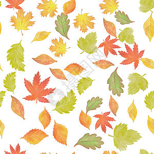 无缝模式与水彩秋假叶子植物插图森林花园绘画墙纸橡木植物群橡子图片