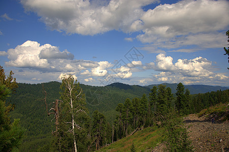 在云层下 穿过树干 可以看到一幅闪亮的山谷山脉顶峰场地青菜环境季节天空旅游爬坡树叶图片