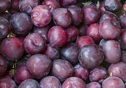 许多成熟的李子水果 可用作背景材料图片