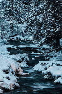 在冬季长期暴露于小溪假期溪流天气风景蓝色岩石流动荒野木头森林图片