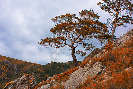 秋天令人惊叹的景色场景木头公园仙境风景蓝色阴霾橙子季节森林图片