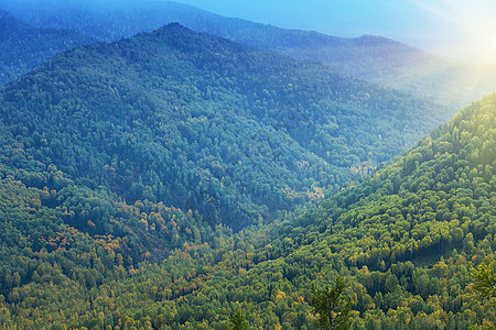 秋天令人惊叹的景色季节森林叶子全景蓝色日落木头环境草地场景图片