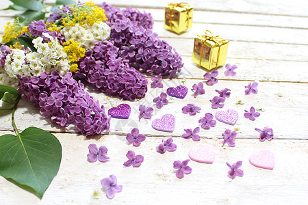 乳液 甜羊肉 雪莓 红心和礼品鲜花花朵叶子生日问候紫色贺卡背景礼物巧克力心图片