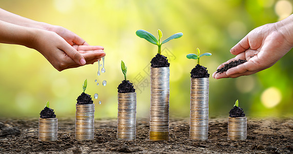 上树硬币展示了商业增长的理念 而货币增长则以储蓄资金为目的合作经济繁荣植物种植园培育网络帮助基金生长图片