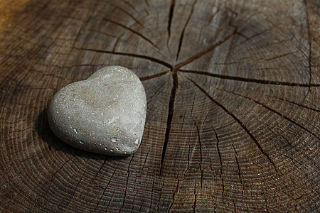 树干上有石的心浪漫符号贺卡木头树木石头婚礼心肠铁石森林图片