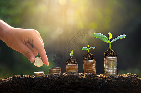 上树硬币展示了商业增长的理念 而货币增长则以储蓄资金为目的生长股东生态叶子收益金融财富投资进步信用图片