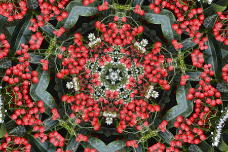 美丽的红花万花筒分形 3d 渲染背景计算机生成背景数学顺序装饰品流动法律插图森林花瓣烟囱艺术图片