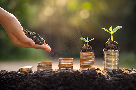 上树硬币展示了商业增长的理念 而货币增长则以储蓄资金为目的合作生长经济团队基金伙伴财富网络种植园利润图片