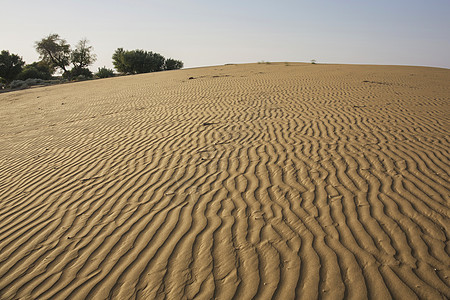 印度拉贾斯坦邦Thar沙漠图片
