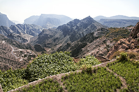 阿曼Saiq高原和梯田种植图景图片