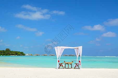 假日和旅行概念异国情调享受奢华海滩假期热带游客蓝色椰子图片