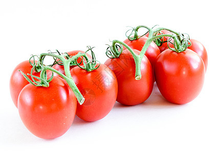 演播室拍摄了有机的一连串藤罗马西红番茄 它们与白种背景隔绝水滴团体李子水果宏观藤蔓工作室叶子椭圆形图片
