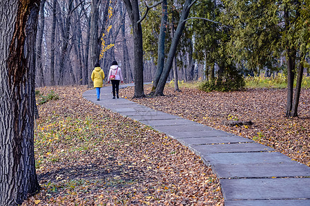 和运动在公园散步 在中秋叶子体育森林公园大街夫妻街道健走乐趣女士树叶图片