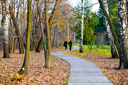 和运动在公园散步 在中秋季节车道女士森林公园叶子乐趣植物园体育森林树木图片