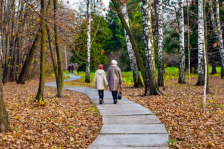 和运动在公园散步 在中秋健走植物园大街树叶季节木头滑雪乐趣夫妻国家图片