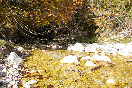 阿布鲁佐国家公园叶子溪流岩石石头丘陵风景公园小路荒野山脉图片