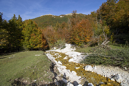 阿布鲁佐国家公园丘陵树木山脉小路风景旅行叶子石头荒野溪流图片