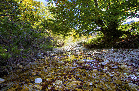 阿布鲁佐国家公园溪流风景石头公园小路树木旅行荒野环境岩石图片