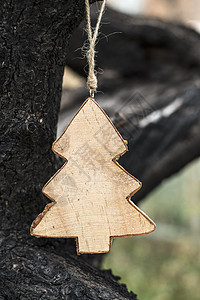 圣诞枞树切欧庆典卡片云杉木头绿色季节松树问候语假期白色图片