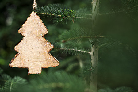 圣诞枞树切欧木头问候语卡片云杉白色绿色假期庆典季节松树图片