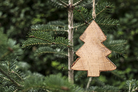 圣诞树桌子装饰品木头装饰绿色季节白色庆典风格假期图片