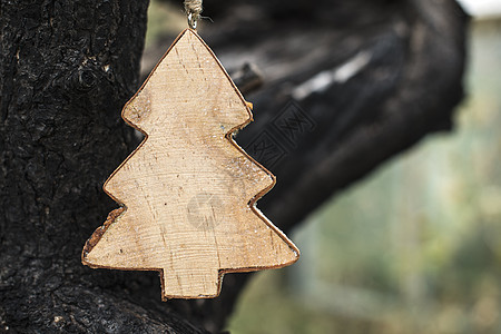 圣诞枞树切欧卡片白色绿色假期木头云杉问候语季节庆典松树图片