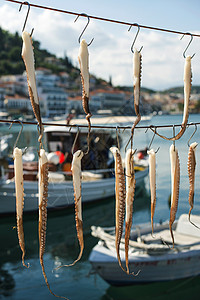 章鱼和渔船触手海鲜港口动物假期酒馆海洋码头美食热带图片