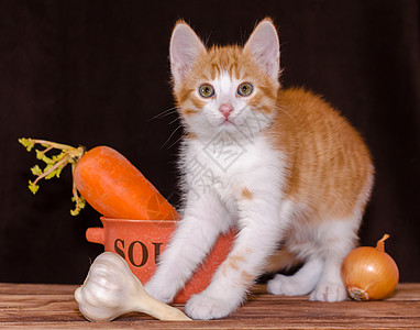 小红小猫坐在桌边的粗木板上 旁边是橙子碗 汤和胡萝卜 面绿色 洋葱和深底大蒜头背景养护萝卜蔬菜厨房治愈猫科桌子游戏动物图片