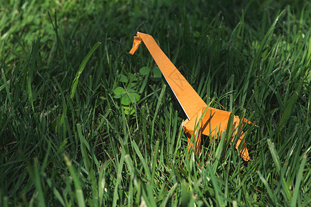 Origami长颈鹿动物园脖子乐趣白色旅游绿色卡片草地创造力国家图片