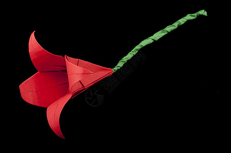 孤立的红花折纸黑色数字植物折叠问候语手工业创造力植物群叶子手工插图图片