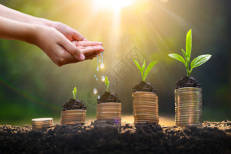 上树硬币展示了商业增长的理念 而货币增长则以储蓄资金为目的财富繁荣基金帮助叶子银行业网络植物肥料伙伴图片