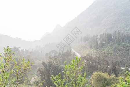 北越的雾泽山地风景最顶端图片