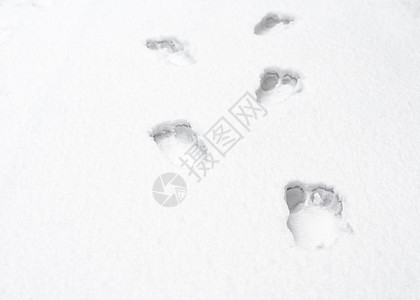白雪上裸露的人类脚足足迹季节白色模式痕迹雪地人脚雪纹图案脚印图片