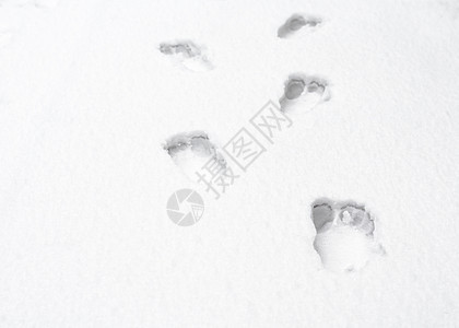 白雪上裸露的人类脚足足迹季节白色模式痕迹雪地人脚雪纹图案脚印背景图片