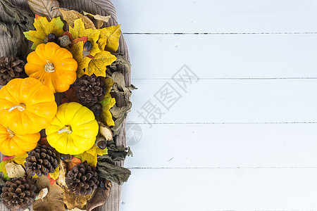 秋叶的顶端景色 南瓜和松果在wh生活边界收成树叶叶子蔬菜葫芦乡村橡木季节图片