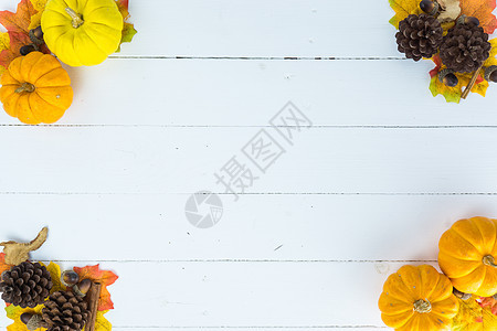 秋叶的顶端景色 南瓜和松果在wh叶子玉米木头假期框架蔬菜感恩收成装饰橡木图片