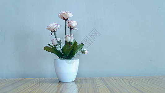 桌子上有美丽的玫瑰花 复制空间房间供您放假背景装饰的文字用 笑声风格花瓣植物花头季节绿色粉色婚礼礼物假期图片