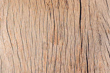 旧木板地板地面木工装饰材料木地板粮食橡木正方形松树图片