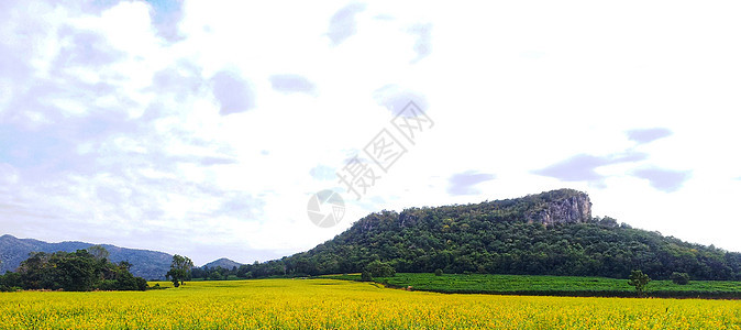 克罗塔拉里娅琼莎田地 天空多云图片