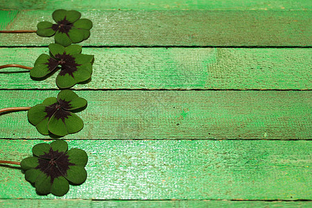 绿色板上幸运的三叶草木板四叶草绿色树叶好运叶子运气背景图片