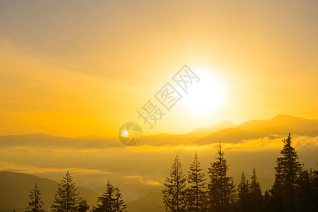 乌克兰喀尔巴阡山脉的日出 太阳在乌克兰最高点胡佛拉山上空升起首脑高山季节爬坡森林天空旅行天气天堂龙虾图片