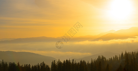 乌克兰喀尔巴阡山脉的日出 太阳在乌克兰最高点胡佛拉山上空升起首脑高山森林阳光天气金子冒险顶峰天空薄雾图片