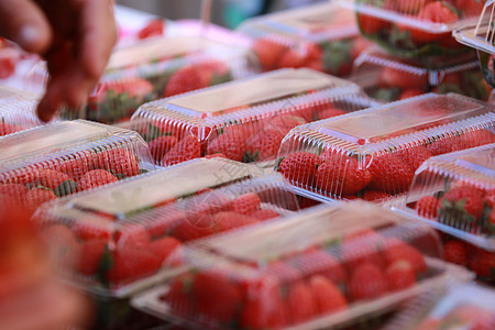 用于销售的塑料包装中的草莓和买方手头 选择购买草莓图片