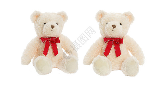 情人节假日的泰迪熊 在白色背景被孤立的颈部上 戴着红色讽刺丝带坐着图片