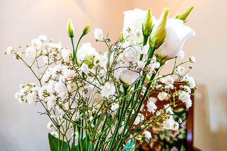 花瓶里的白玫瑰在下午的光亮下捕捉到图片