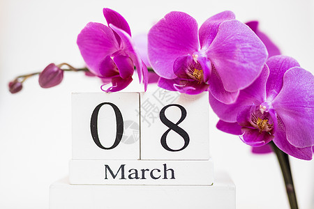 3月8日国际妇女节白块日历日期3月8日 用兰花装饰的花朵假期职业粉色自由女性教育兰花快乐白色图片