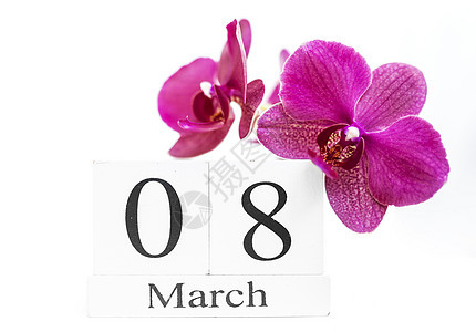 3月8日国际妇女节白块日历日期3月8日 用兰花装饰的花朵职业自由女性白色兰花粉色假期教育快乐图片